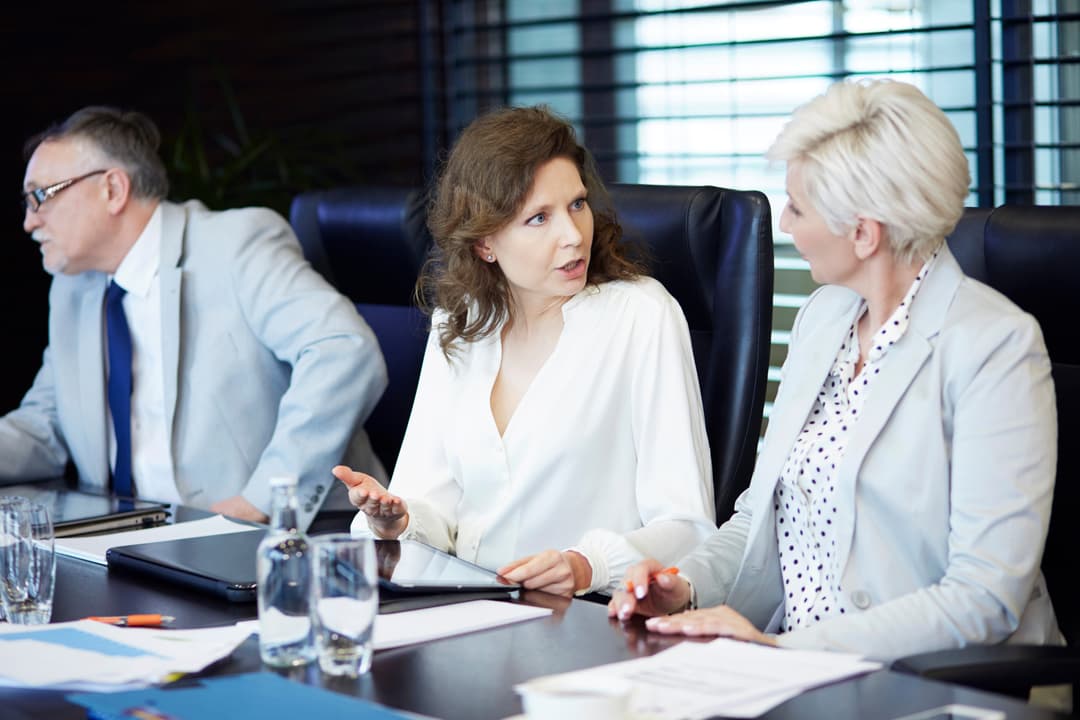Structured Execution Oversight